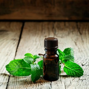 nowledge-peppermint-oil-thumb-2x